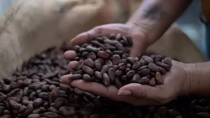 The Price of Cocoa is Soaring, and Candy Manufacturers Need to Be Creative in Response.